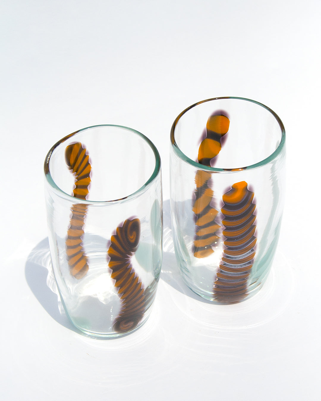 Wooly Bear Tumbler